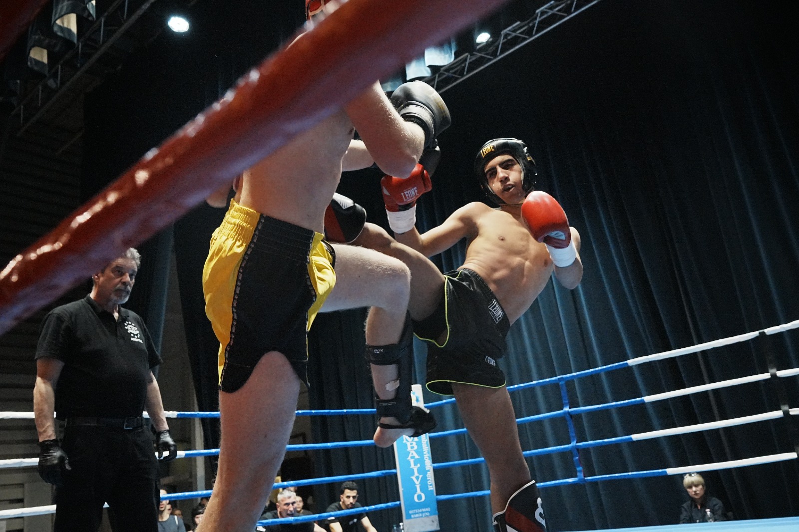 Foto Ring Fighter
